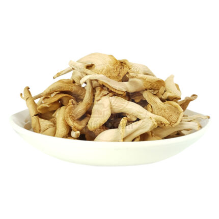 Nấm Bào Ngư Xám Khô