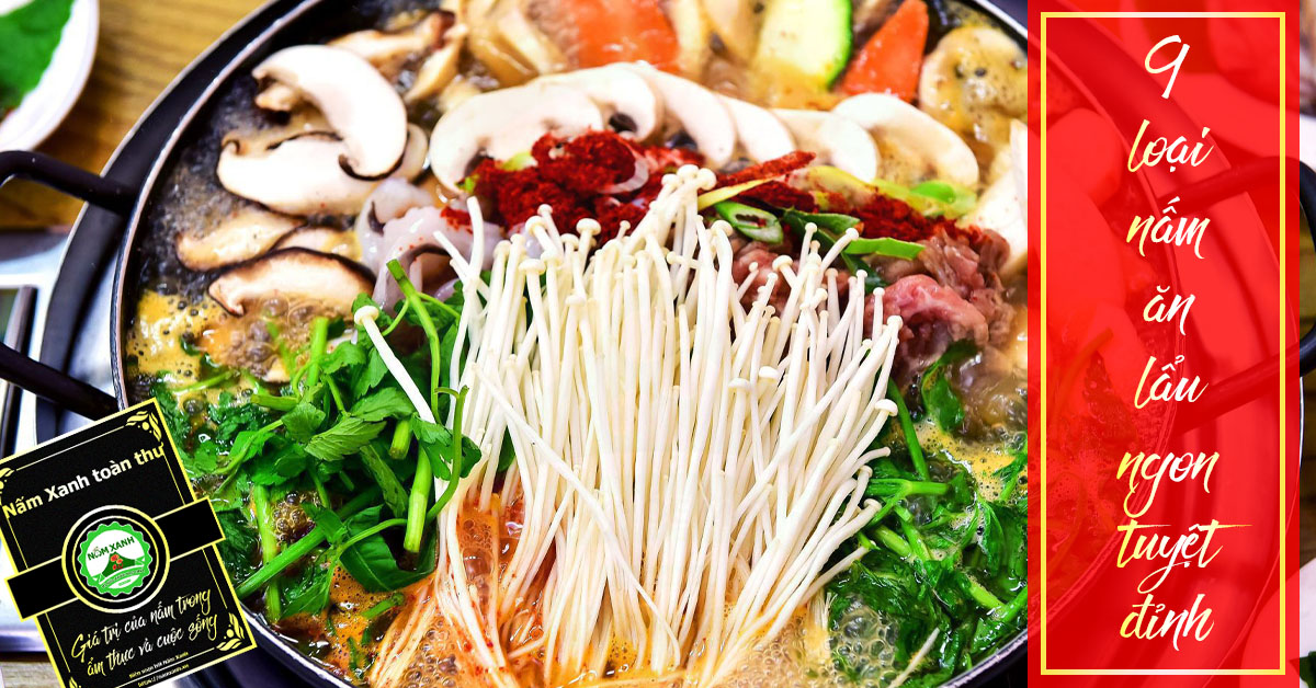 9 loại nấm ăn lẩu ngon nhất