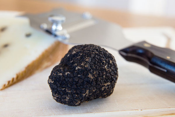 nấm truffle đắt nhất thế giới