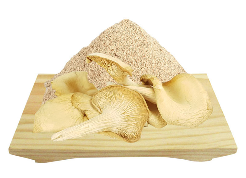 ưu điểm của bột nấm