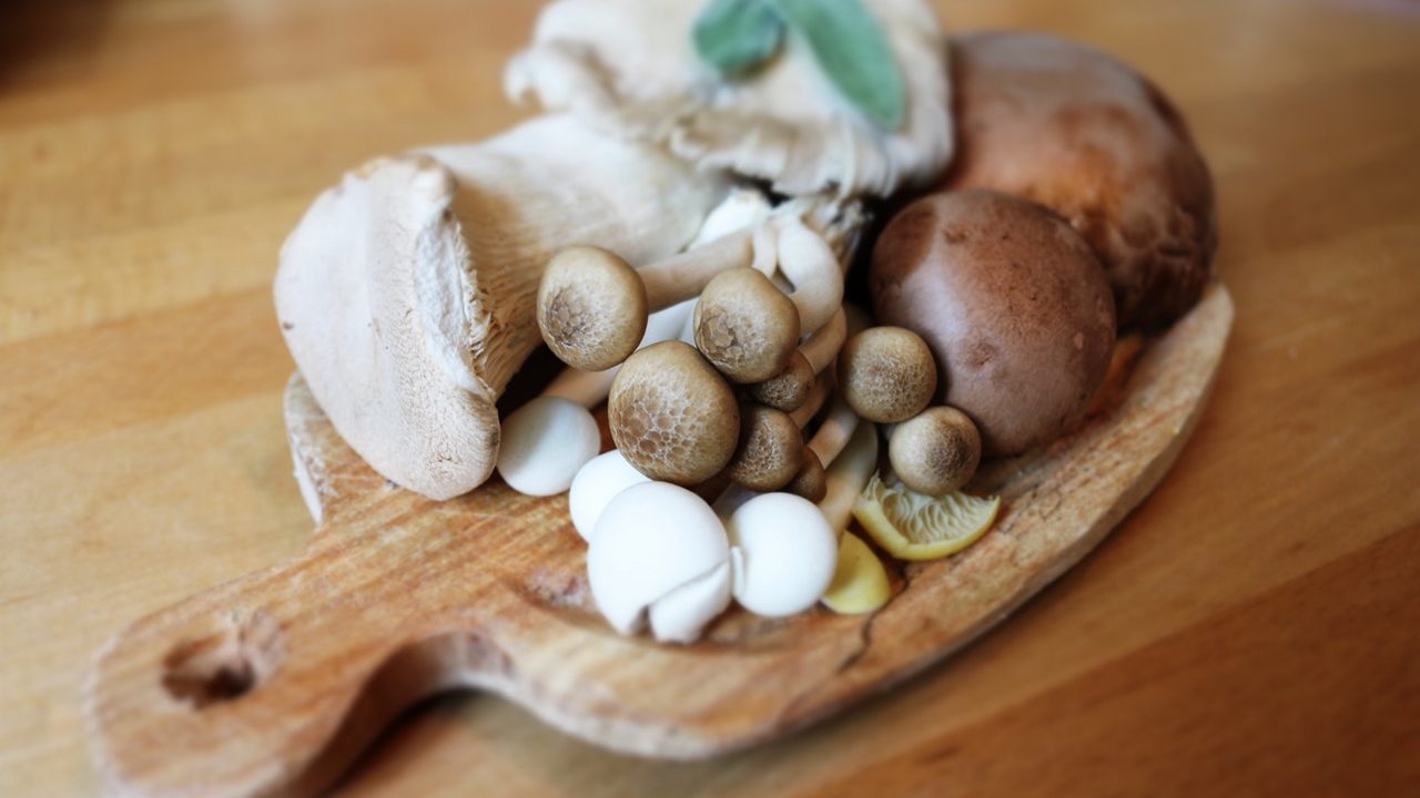 Nấm Xanh - Nấm Khỏe vì sức khỏe mọi nhà