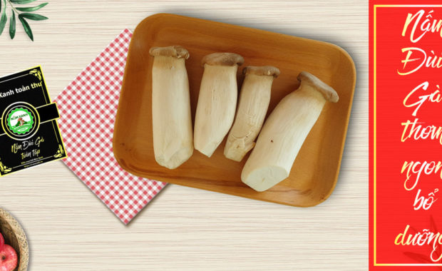 Nấm Đùi Gà - Shimeji
