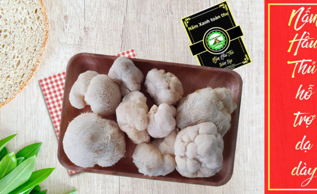 Nấm Hầu Thủ (Nấm Đầu Khỉ)