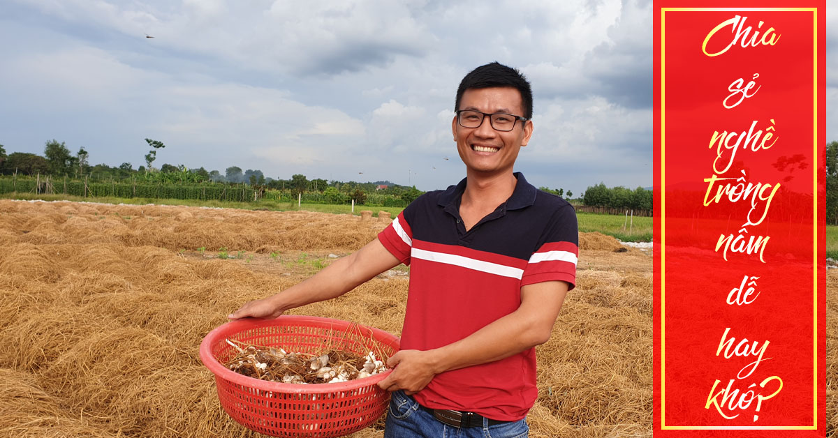 trồng nấm dễ hay khó