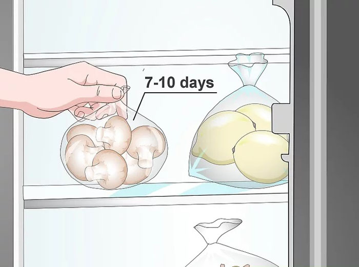 Bảo quản nấm tốt nhất trong 7-10 ngày