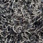 Nấm Mèo Sợi Khô (Nấm Mộc Nhĩ Sợi Khô)