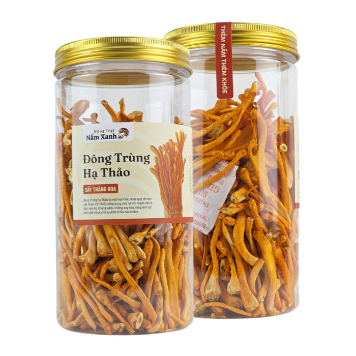Đông Trùng Hạ Thảo Khô Sấy Thăng Hoa - Nấm Xanh
