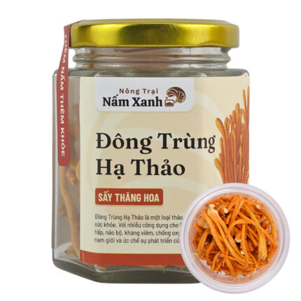 Đông Trùng Hạ Thảo Khô Sấy Thăng Hoa - Nấm Xanh