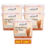 Nấm Đông Trùng Hạ Thảo Tươi