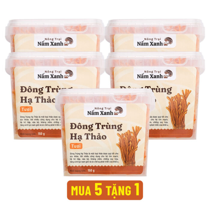 Nấm Đông Trùng Hạ Thảo Tươi