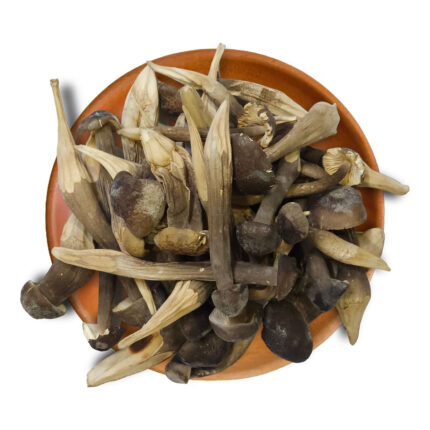 Nấm Mối Đen Sấy Thăng Hoa