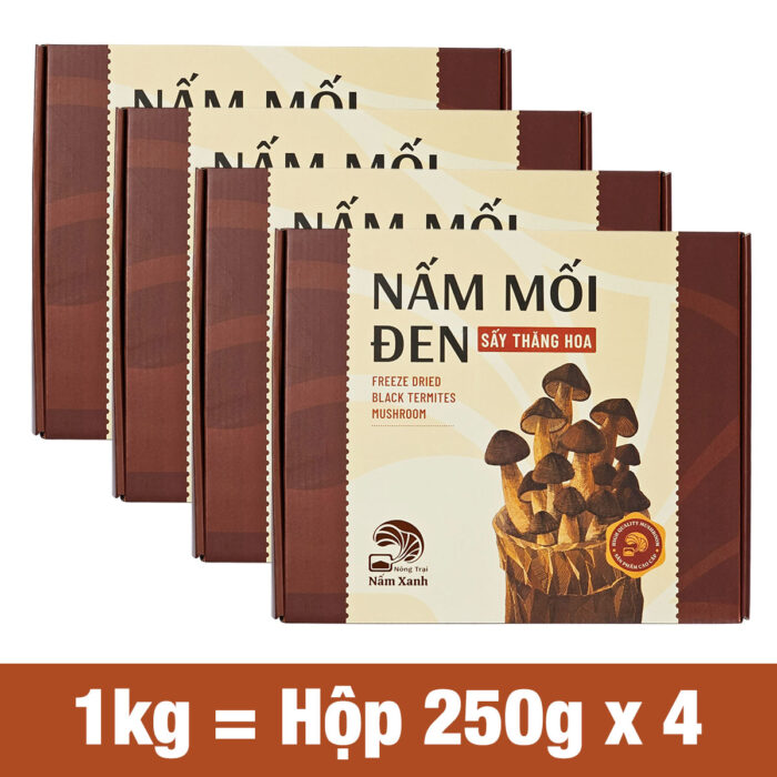 Nấm Mối Đen Sấy Thăng Hoa