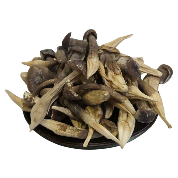Nấm Mối Đen Sấy Thăng Hoa