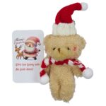 Combo Gấu Thiệp Giáng Sinh 2025