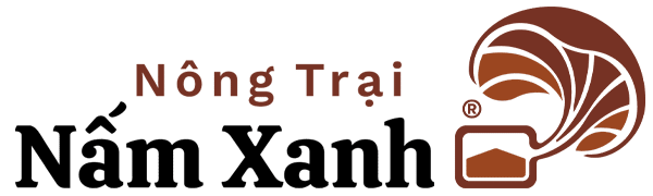 Nông Trại Nấm Xanh - Nấm Chuẩn Sạch Từ Nông Trại Tới Bàn Ăn