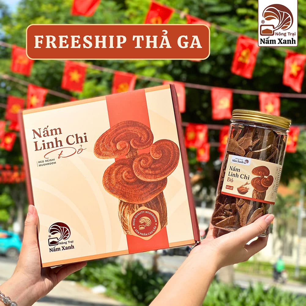 CTKM Quốc Khánh 2/9 cùng Nấm Xanh