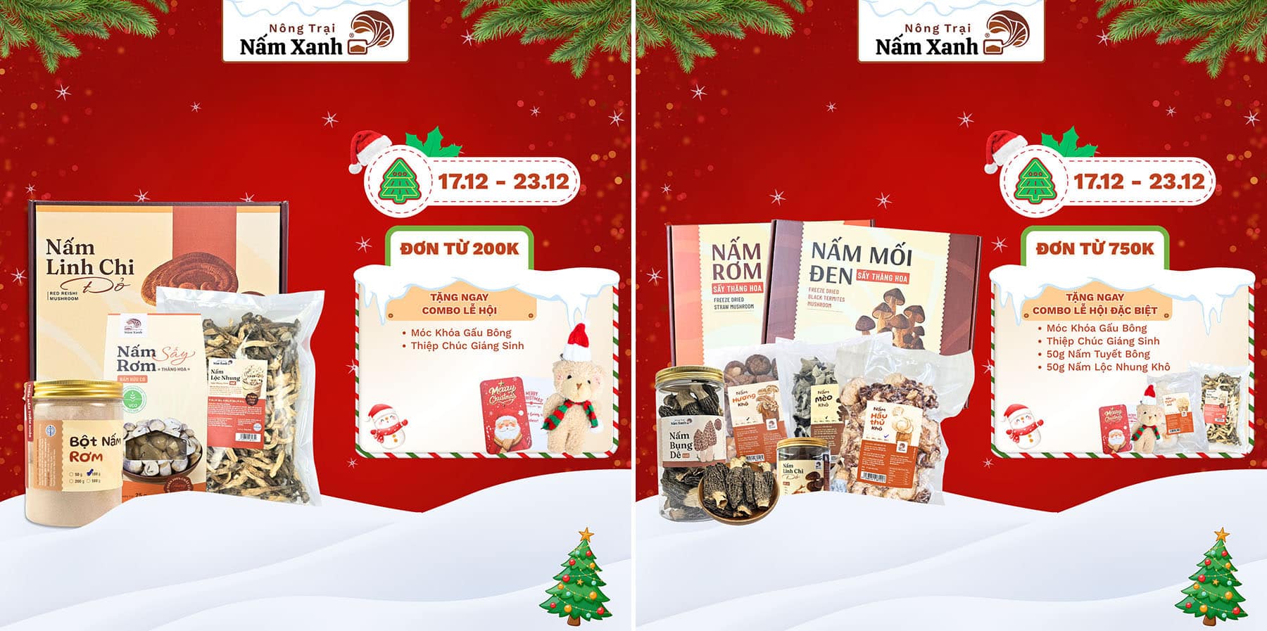 CTKM Giảm 24% Giáng Sinh tại Nông Trại Nấm Xanh