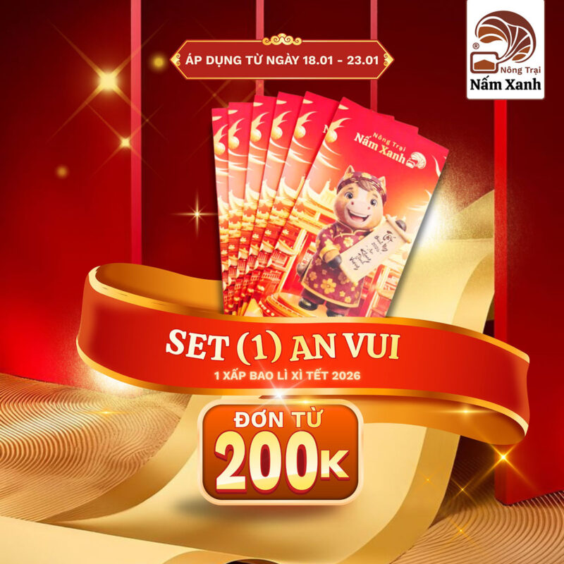 CTKM Đón Tết Bính Ngọ 2026