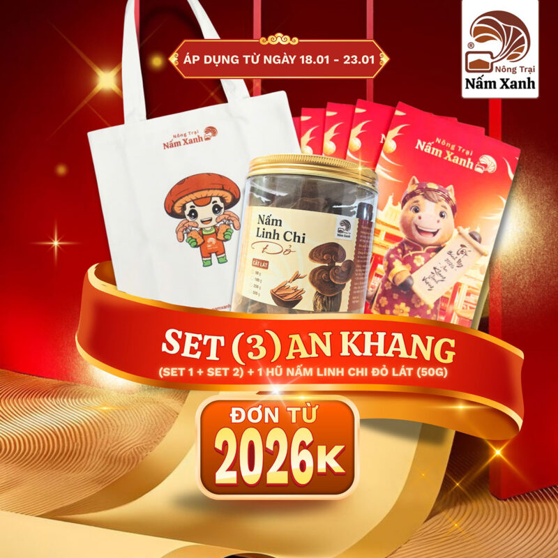 CTKM Đón Tết Bính Ngọ 2026